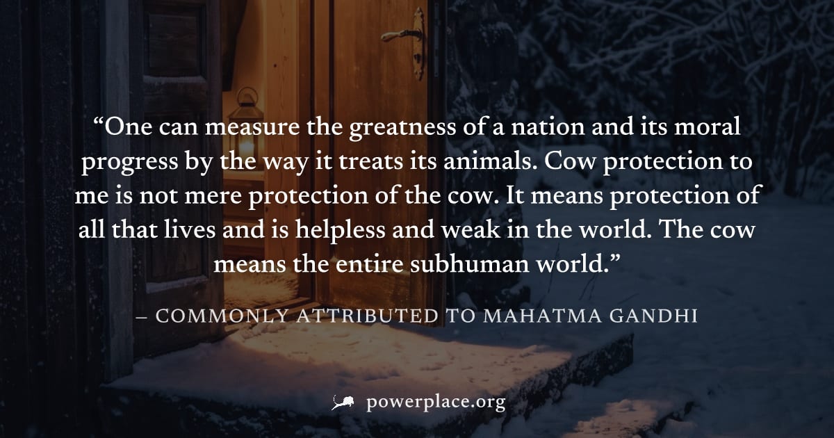 "One can measure the greatness of a nation and its moral progress by the way it treats its animals. Cow protection to me is not mere protection of the cow. It means protection of all that lives and is