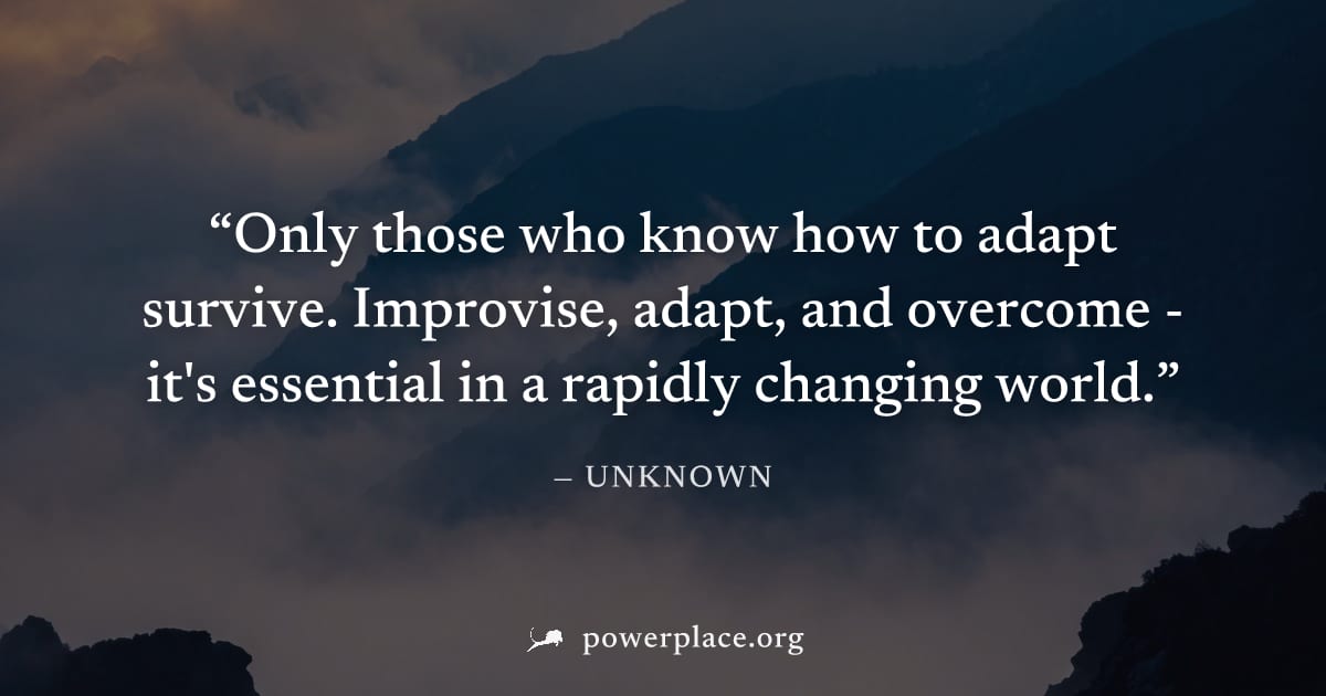 "Only those who know how to adapt survive. Improvise, adapt, and overcome - it's essential in a rapidly changing world." — Unknown