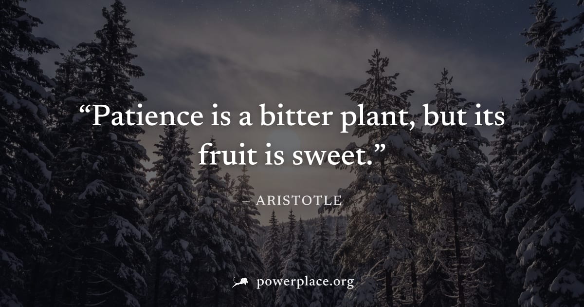"Patience is a bitter plant, but its fruit is sweet." — Aristotle