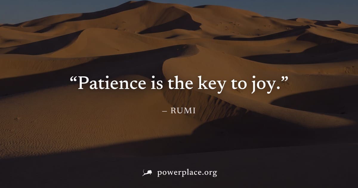 "Patience is the key to joy." — Rumi
