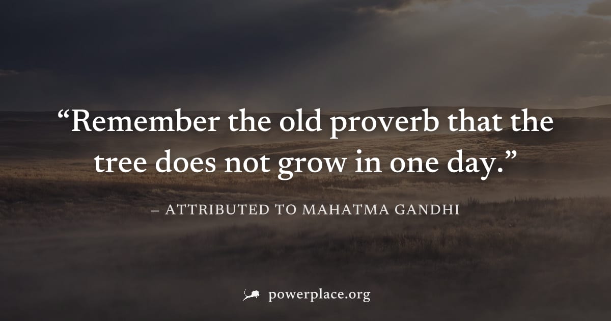 "Remember the old proverb that the tree does not grow in one day." — Attributed to Mahatma Gandhi