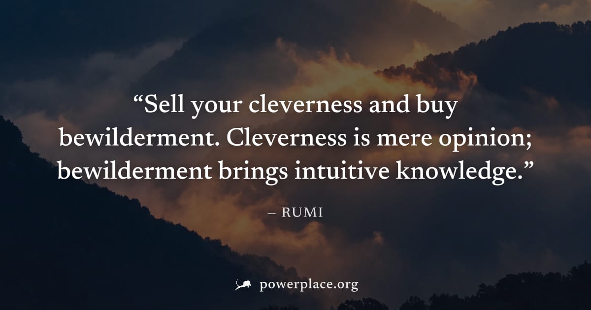 "Sell your cleverness and buy bewilderment. Cleverness is mere opinion; bewilderment brings intuitive knowledge." — Rumi