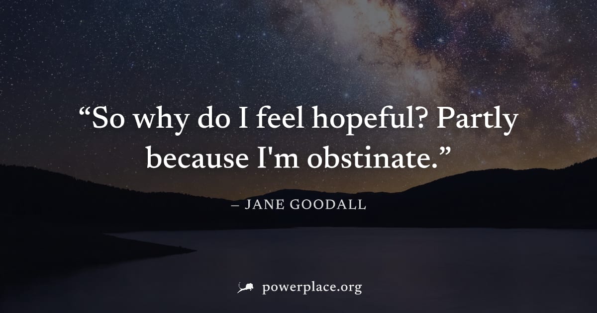 "So why do I feel hopeful? Partly because I'm obstinate." — Jane Goodall
