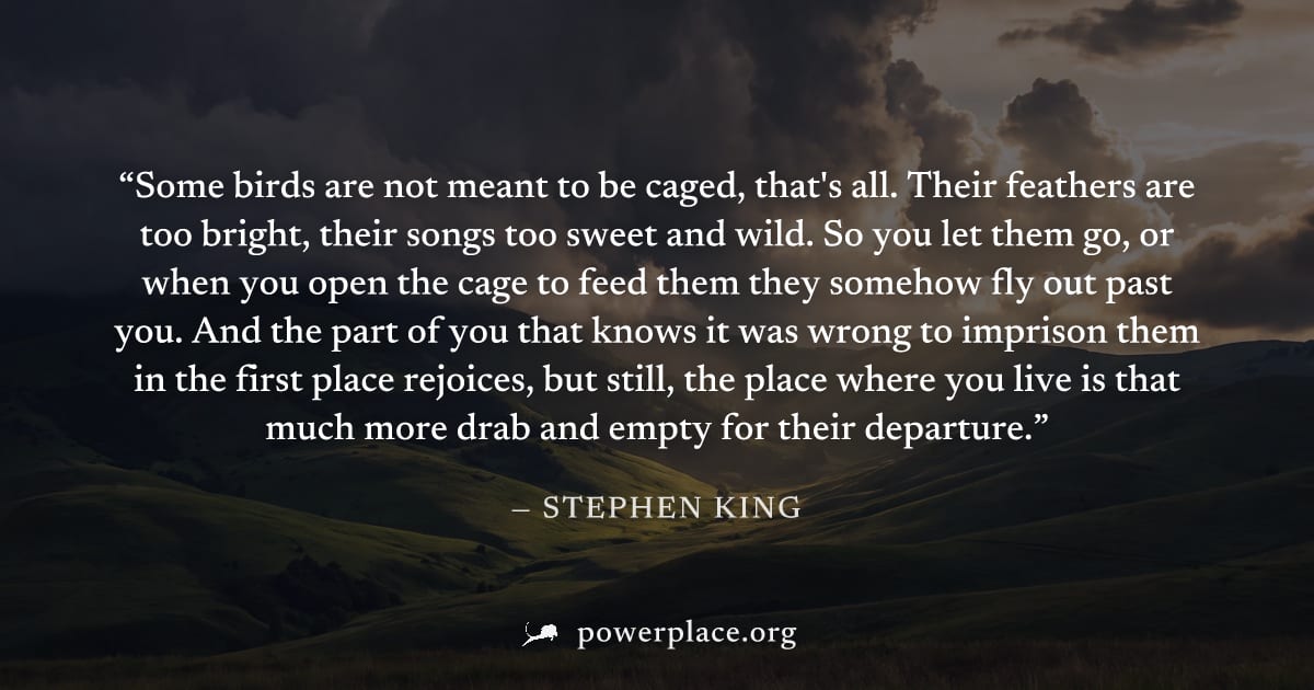"Some birds are not meant to be caged, that's all. Their feathers are too bright, their songs too sweet and wild. So you let them go, or when you open the cage to feed them they somehow fly out past y
