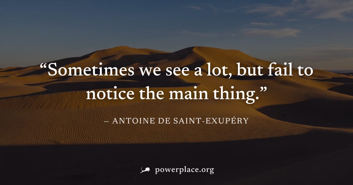 "Sometimes we see a lot, but fail to notice the main thing." — Antoine de Saint-Exupéry