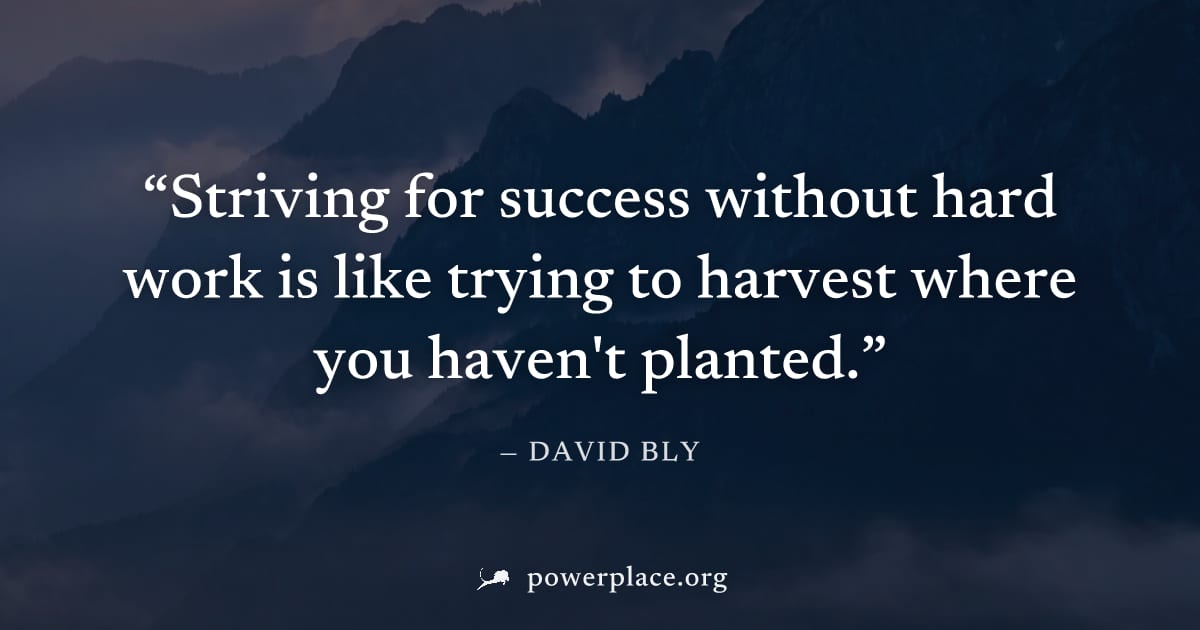 "Striving for success without hard work is like trying to harvest where you haven't planted." — David Bly