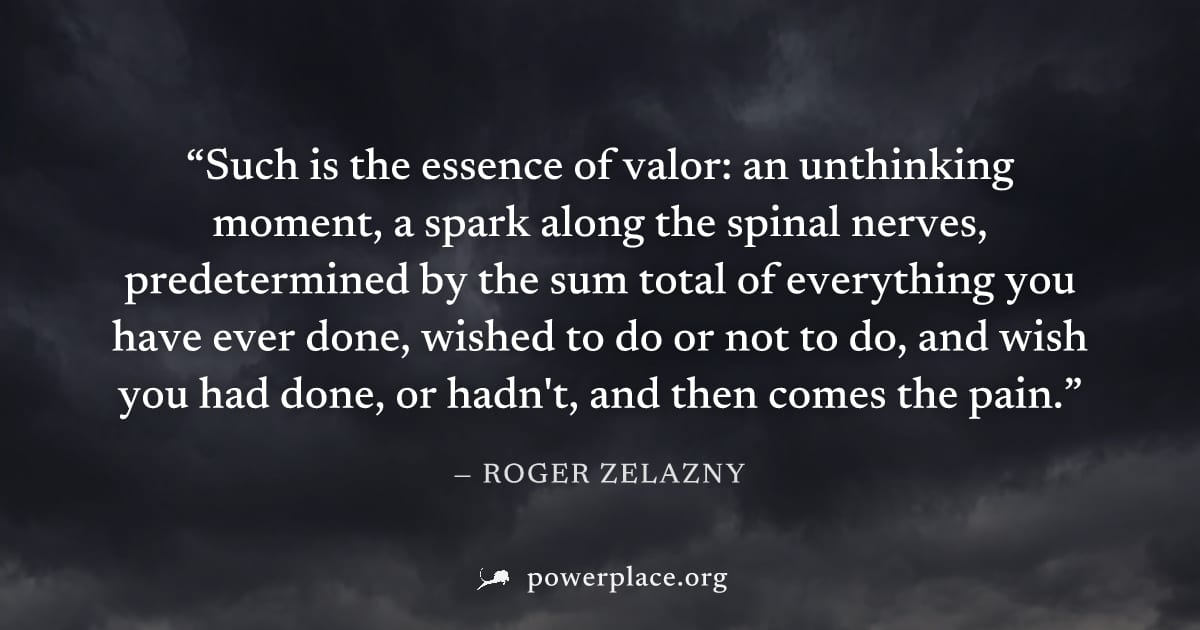 "Such is the essence of valor: an unthinking moment, a spark along the spinal nerves, predetermined by the sum total of everything you have ever done, wished to do or not to do, and wish you had done,