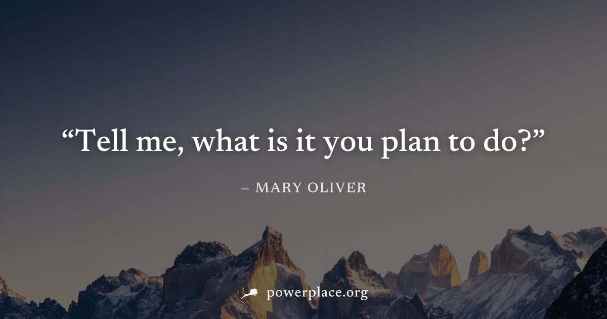 "Tell me, what is it you plan to do?" — Mary Oliver