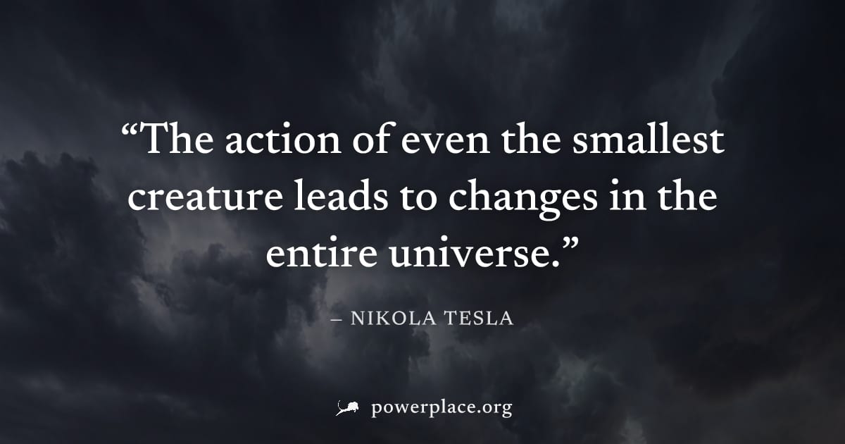 "The action of even the smallest creature leads to changes in the entire universe." — Nikola Tesla