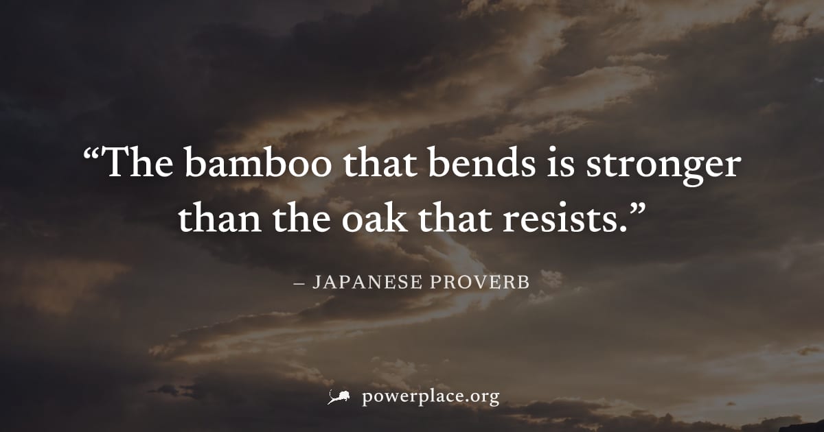 "The bamboo that bends is stronger than the oak that resists." — Japanese Proverb