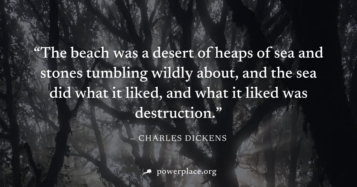 "The beach was a desert of heaps of sea and stones tumbling wildly about, and the sea did what it liked, and what it liked was destruction." — Charles Dickens