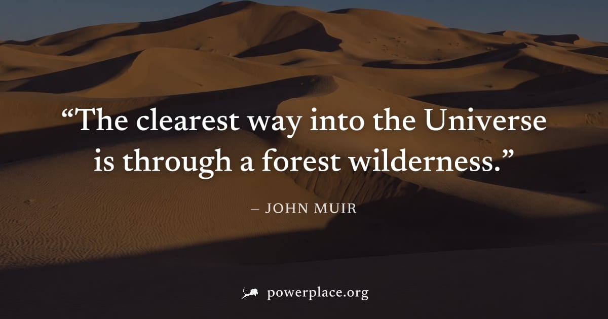 "The clearest way into the Universe is through a forest wilderness." — John Muir