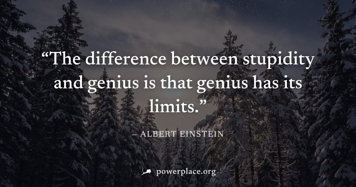 "The difference between stupidity and genius is that genius has its limits." — Albert Einstein