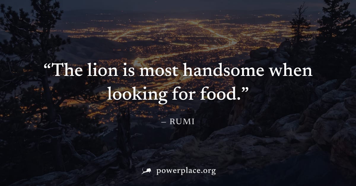 "The lion is most handsome when looking for food." — Rumi