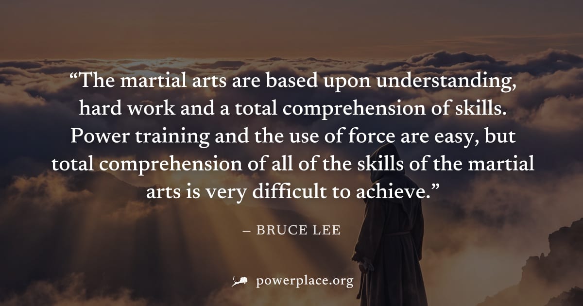 "The martial arts are based upon understanding, hard work and a total comprehension of skills. Power training and the use of force are easy, but total comprehension of all of the skills of the martial