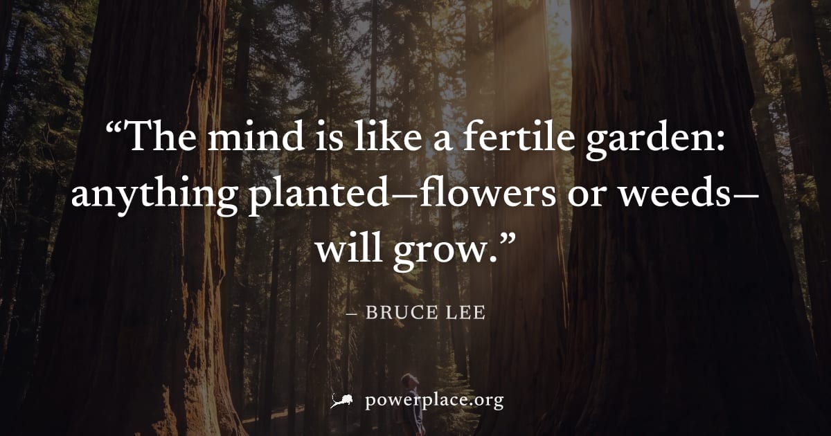 "The mind is like a fertile garden: anything planted—flowers or weeds—will grow." — Bruce Lee