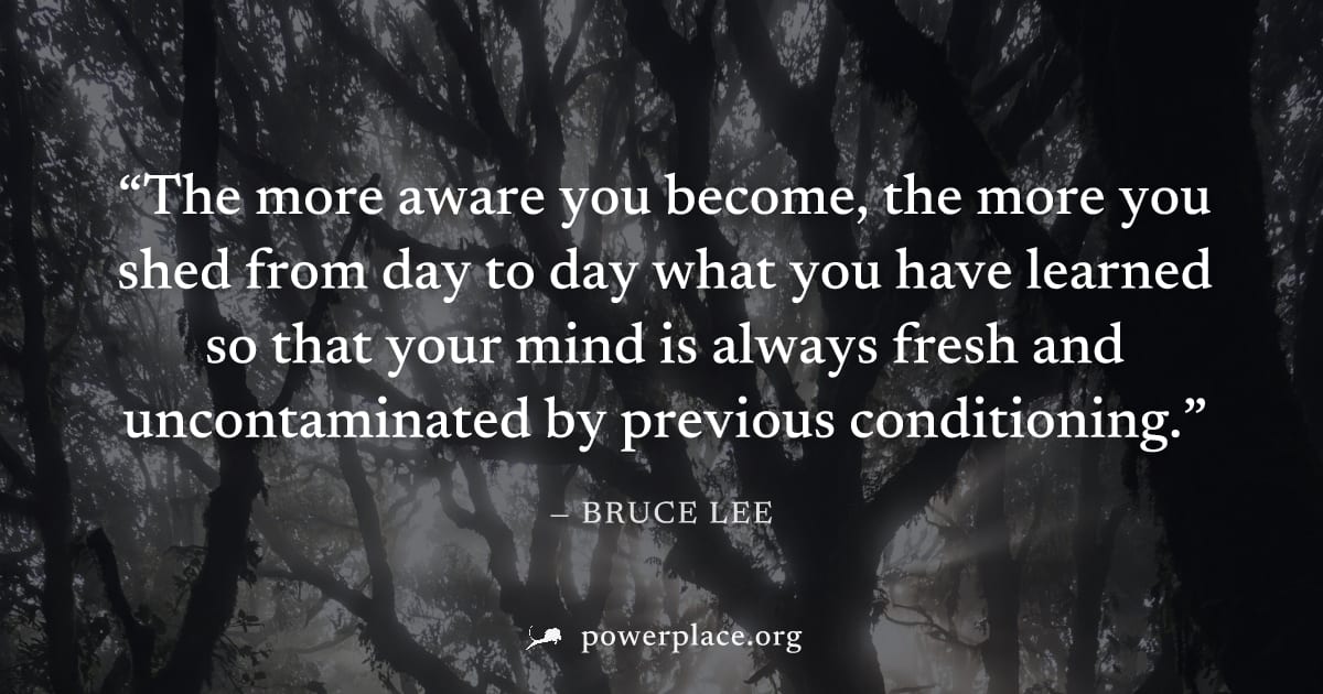 "The more aware you become, the more you shed from day to day what you have learned so that your mind is always fresh and uncontaminated by previous conditioning." — Bruce Lee