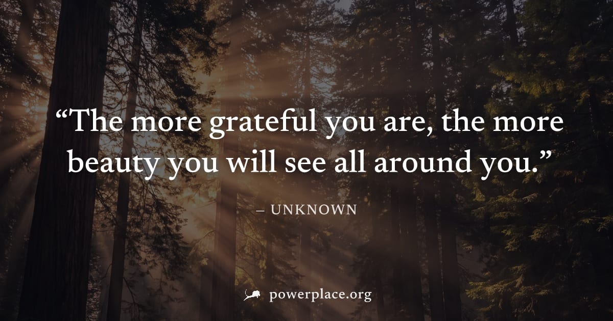 "The more grateful you are, the more beauty you will see all around you." — Unknown