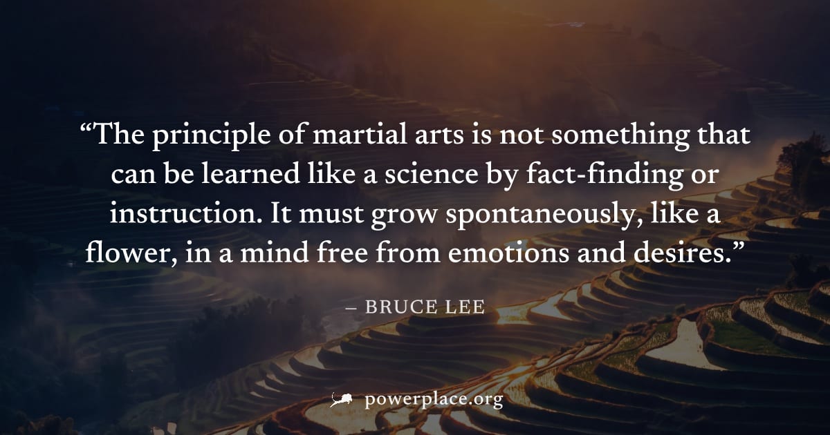 "The principle of martial arts is not something that can be learned like a science by fact-finding or instruction. It must grow spontaneously, like a flower, in a mind free from emotions and desires."