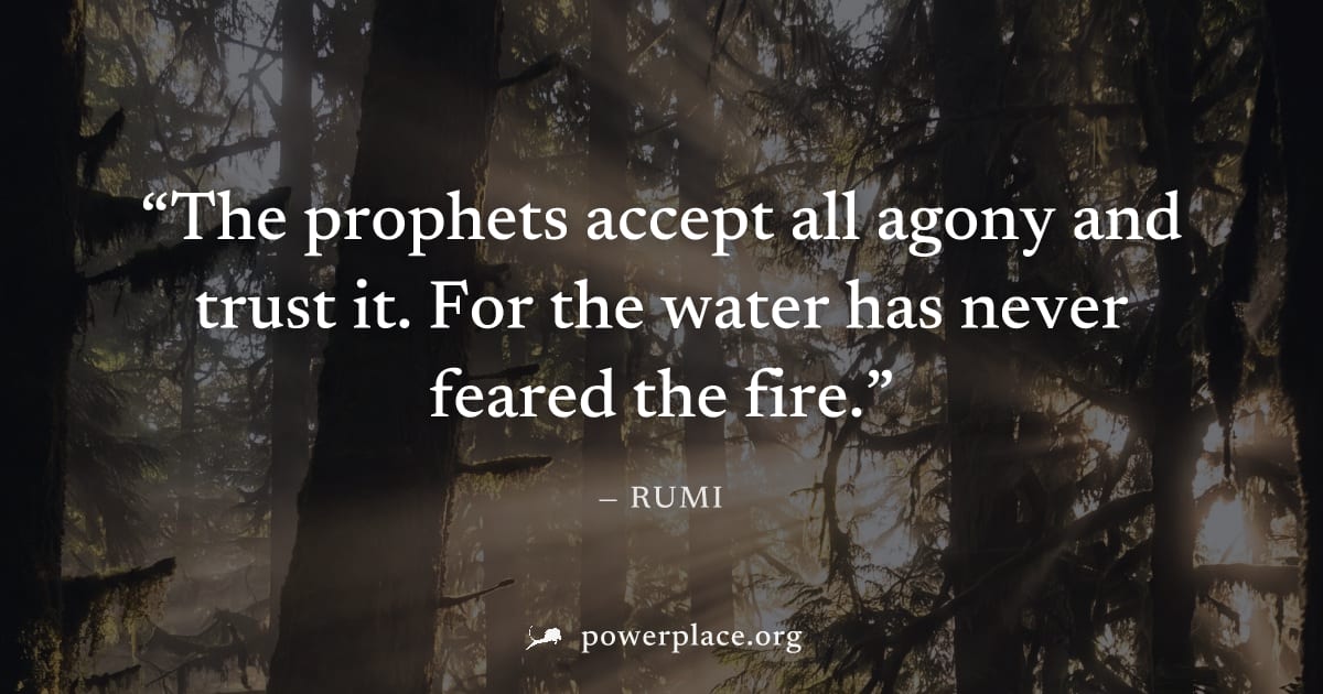 "The prophets accept all agony and trust it. For the water has never feared the fire." — Rumi