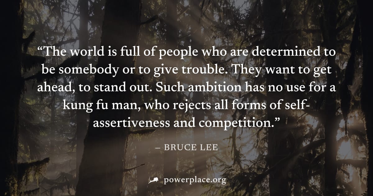 "The world is full of people who are determined to be somebody or to give trouble. They want to get ahead, to stand out. Such ambition has no use for a kung fu man, who rejects all forms of self-asser