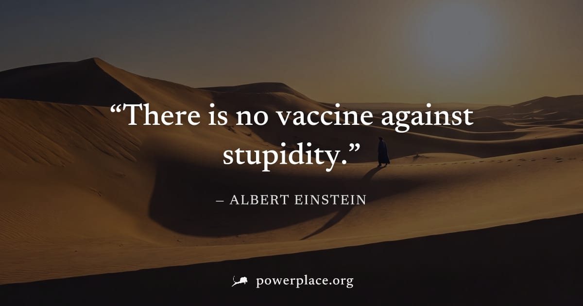 "There is no vaccine against stupidity." — Albert Einstein