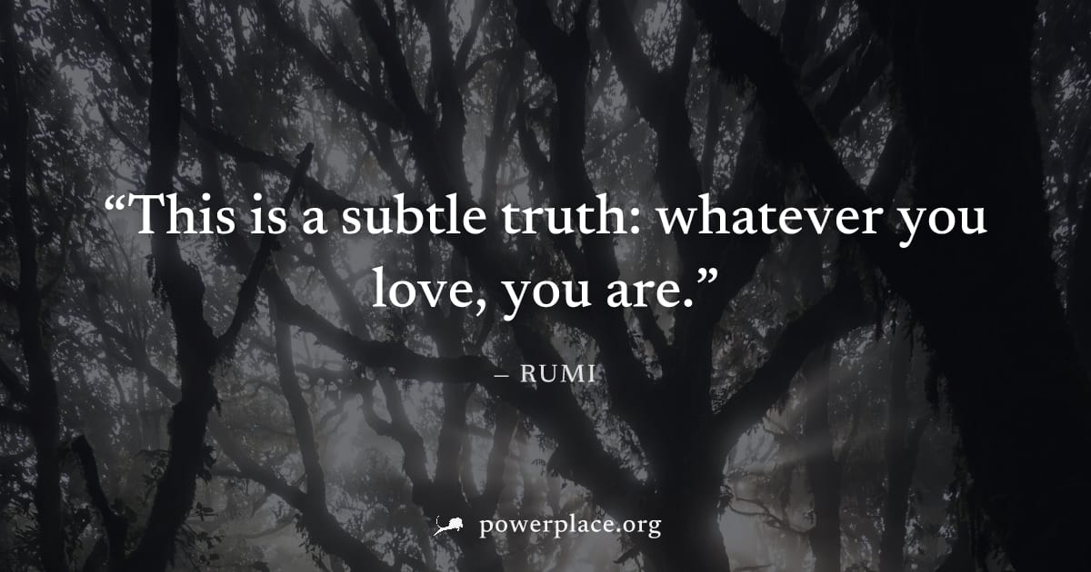 "This is a subtle truth: whatever you love, you are." — Rumi