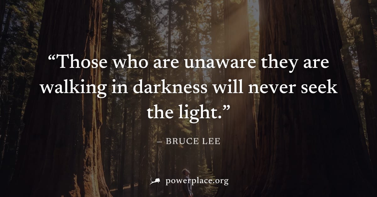 "Those who are unaware they are walking in darkness will never seek the light." — Bruce Lee