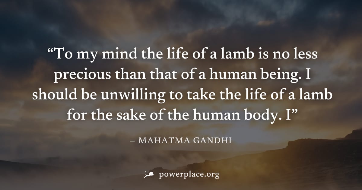 "To my mind the life of a lamb is no less precious than that of a human being. I should be unwilling to take the life of a lamb for the sake of the human body. I" — Mahatma Gandhi