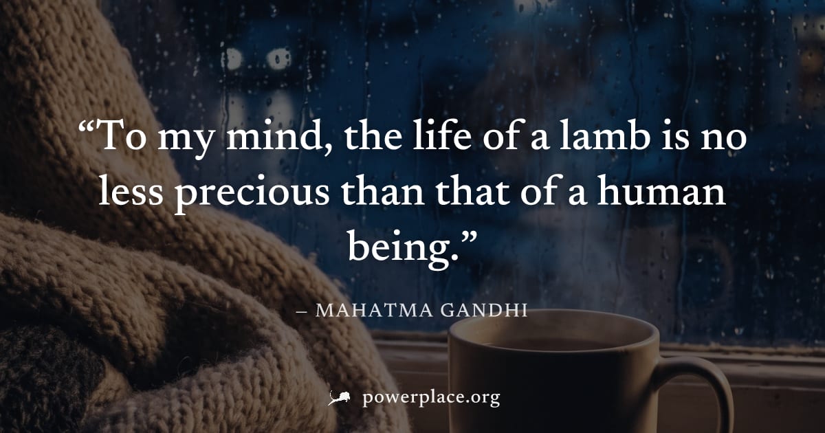 "To my mind, the life of a lamb is no less precious than that of a human being." — Mahatma Gandhi