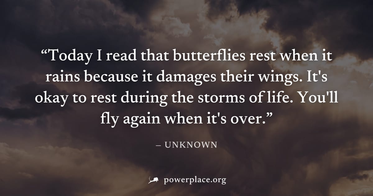 "Today I read that butterflies rest when it rains because it damages their wings. It's okay to rest during the storms of life. You'll fly again when it's over." — Unknown