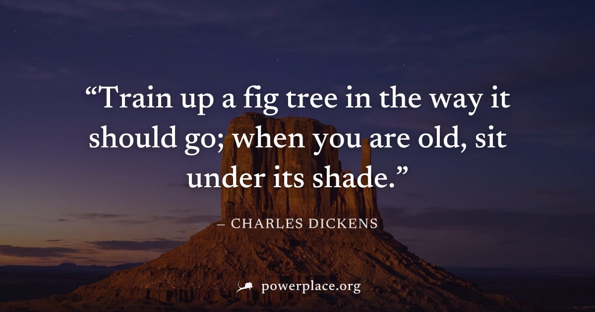 "Train up a fig tree in the way it should go; when you are old, sit under its shade." — Charles Dickens