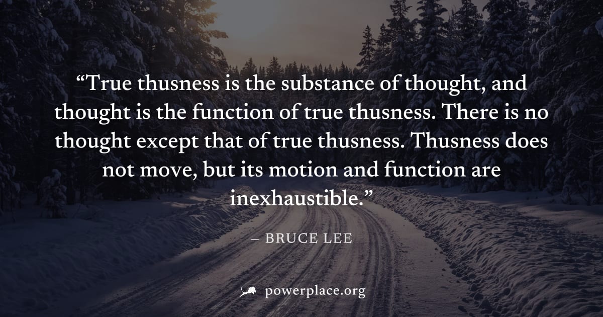 "True thusness is the substance of thought, and thought is the function of true thusness. There is no thought except that of true thusness. Thusness does not move, but its motion and function are inex