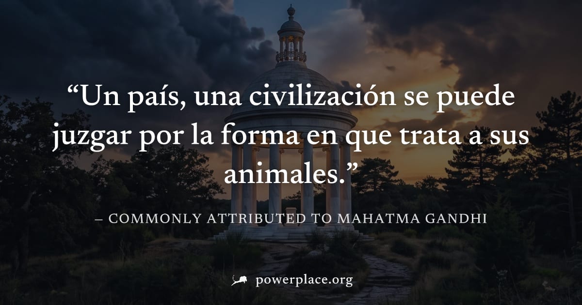 "Un país, una civilización se puede juzgar por la forma en que trata a sus animales." — Commonly attributed to Mahatma Gandhi
