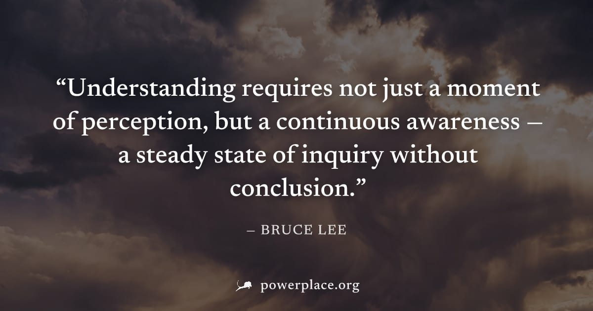 "Understanding requires not just a moment of perception, but a continuous awareness — a steady state of inquiry without conclusion." — Bruce Lee