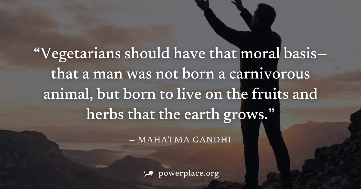 "Vegetarians should have that moral basis—that a man was not born a carnivorous animal, but born to live on the fruits and herbs that the earth grows." — Mahatma Gandhi