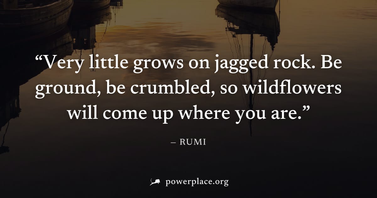 "Very little grows on jagged rock. Be ground, be crumbled, so wildflowers will come up where you are." — Rumi
