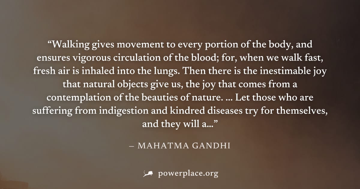 "Walking gives movement to every portion of the body, and ensures vigorous circulation of the blood; for, when we walk fast, fresh air is inhaled into the lungs. Then there is the inestimable joy that