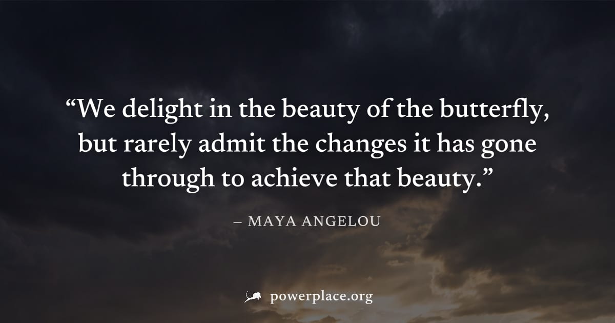 "We delight in the beauty of the butterfly, but rarely admit the changes it has gone through to achieve that beauty." — Maya Angelou