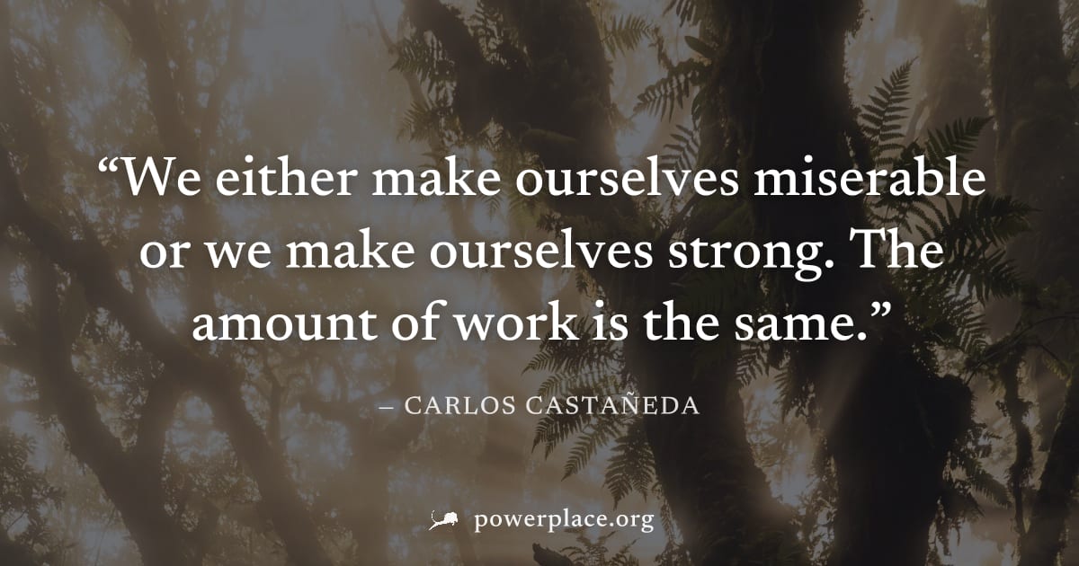 "We either make ourselves miserable or we make ourselves strong. The amount of work is the same." — Carlos Castañeda
