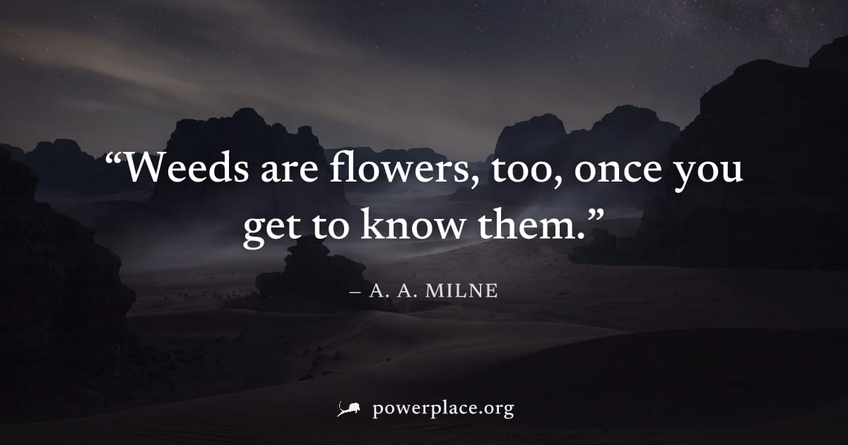 "Weeds are flowers, too, once you get to know them." — A. A. Milne