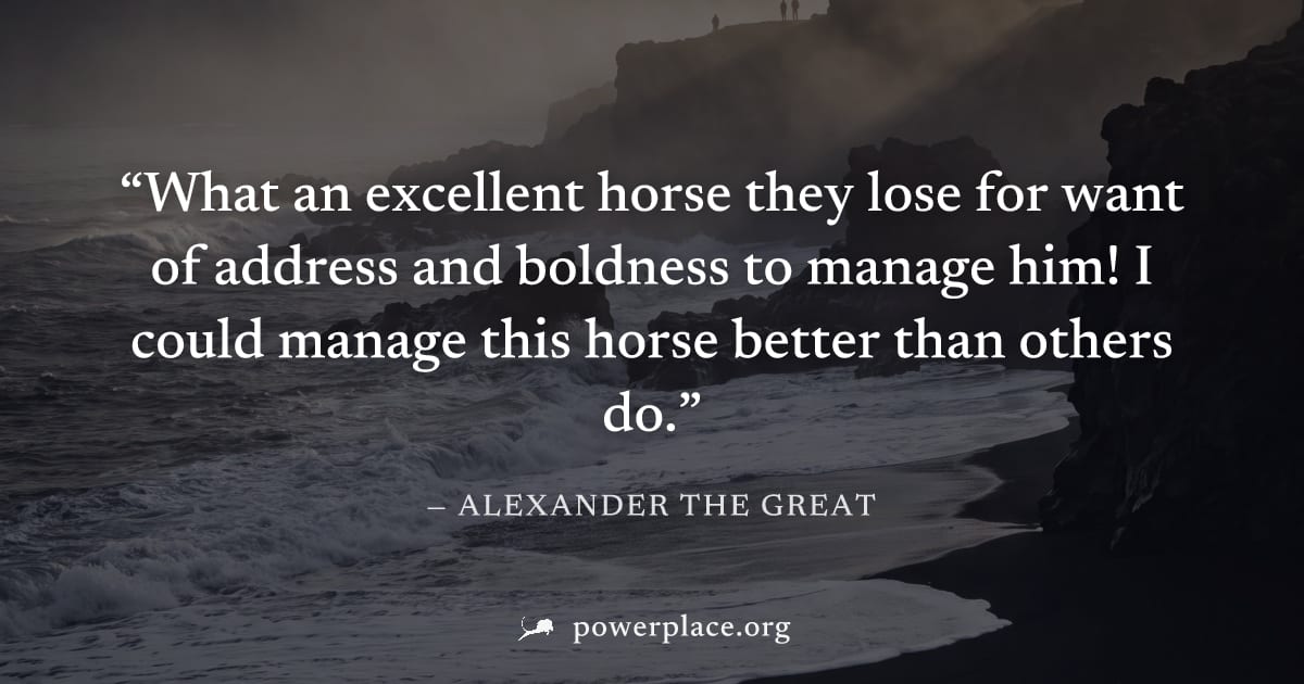 "What an excellent horse they lose for want of address and boldness to manage him! I could manage this horse better than others do." — Alexander the Great