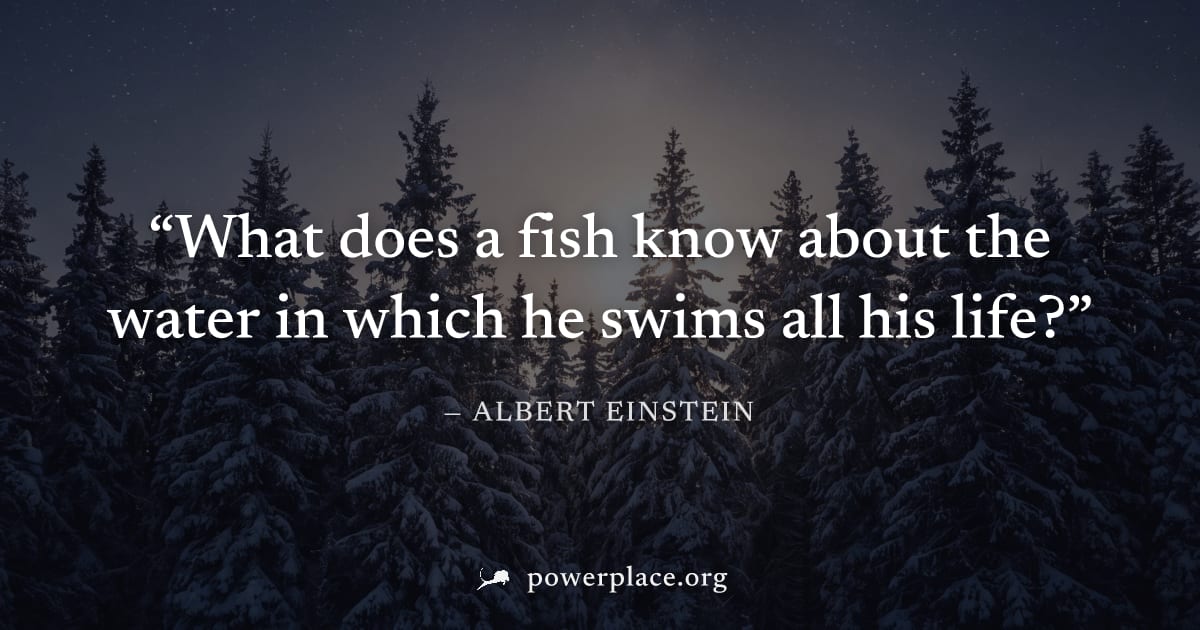 "What does a fish know about the water in which he swims all his life?" — Albert Einstein