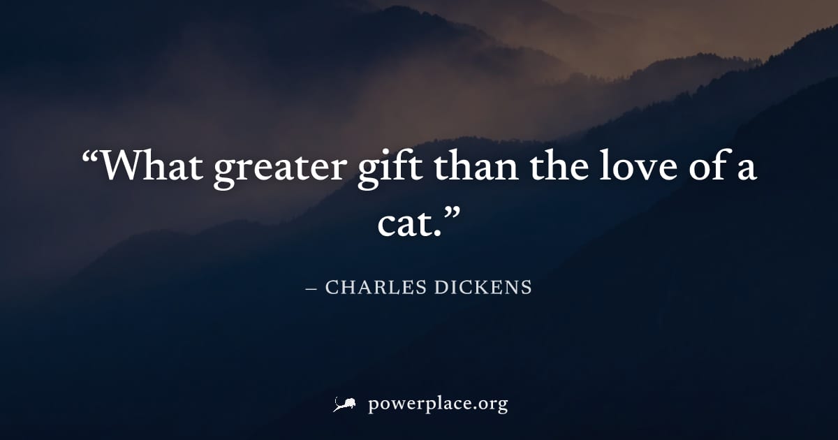 "What greater gift than the love of a cat." — Charles Dickens