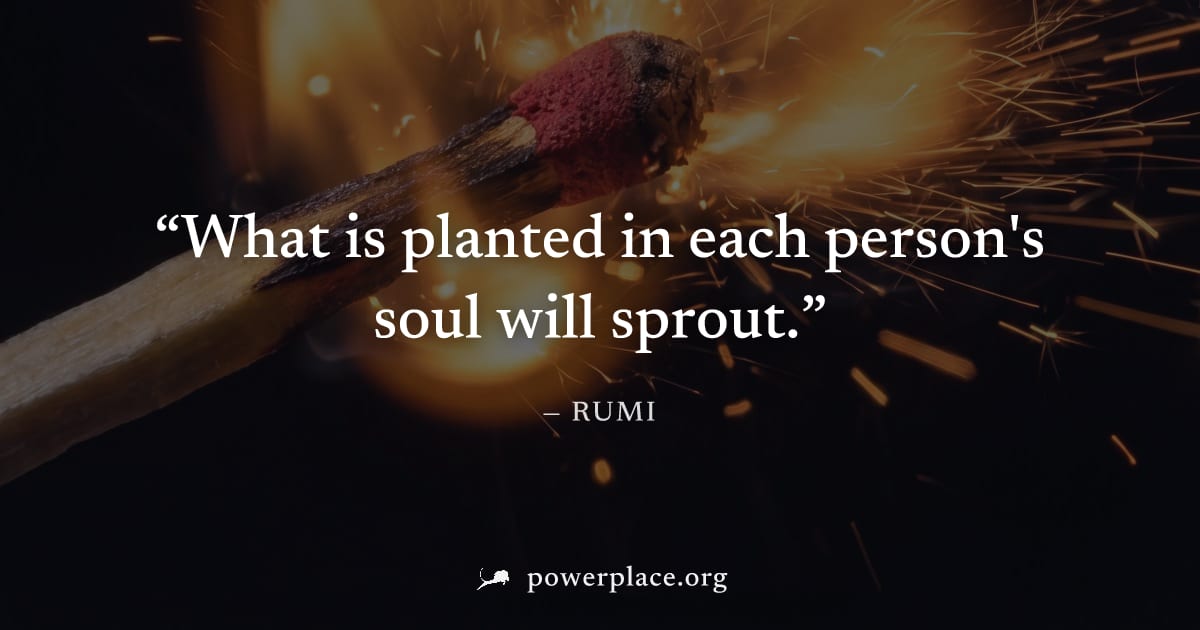 "What is planted in each person's soul will sprout." — Rumi
