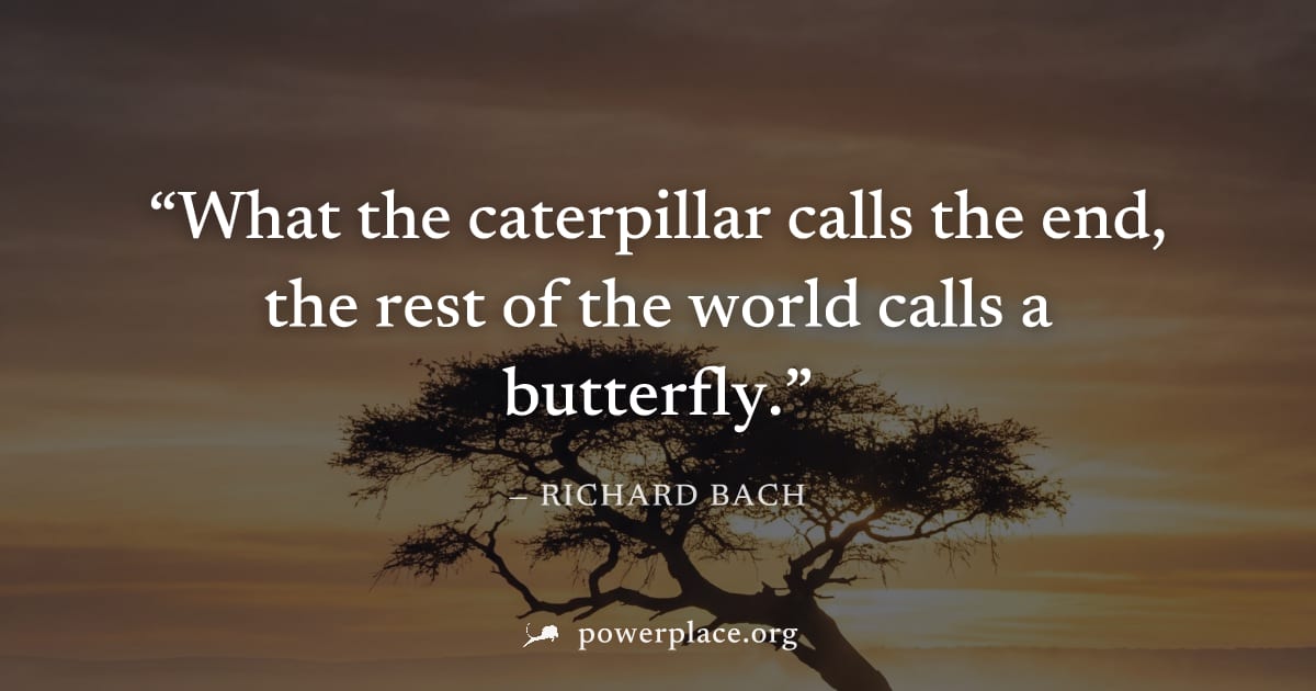 "What the caterpillar calls the end, the rest of the world calls a butterfly." — Richard Bach