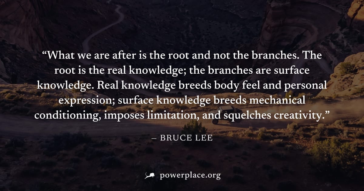 "What we are after is the root and not the branches. The root is the real knowledge; the branches are surface knowledge. Real knowledge breeds body feel and personal expression; surface knowledge bree