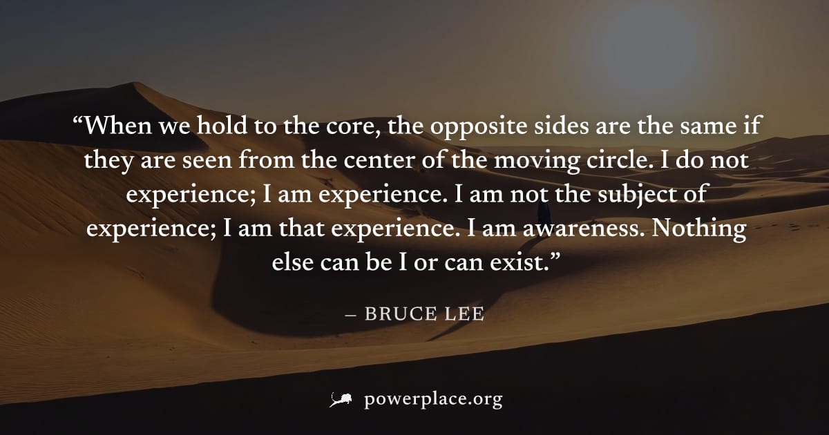 "When we hold to the core, the opposite sides are the same if they are seen from the center of the moving circle. I do not experience; I am experience. I am not the subject of experience; I am that ex