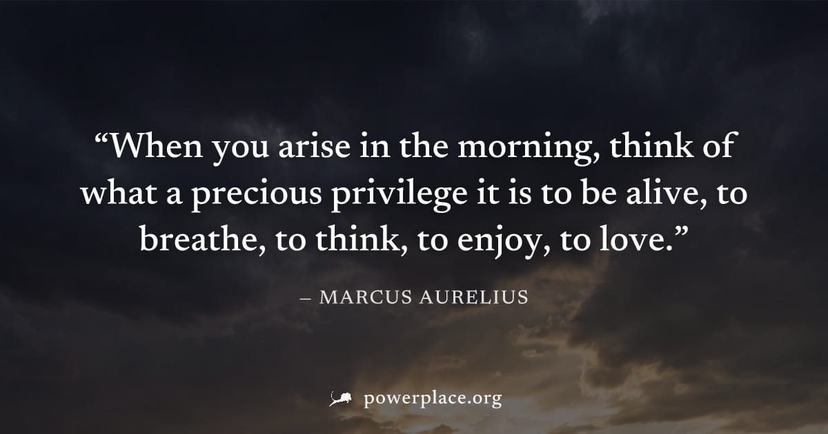 "When you arise in the morning, think of what a precious privilege it is to be alive, to breathe, to think, to enjoy, to love." — Marcus Aurelius