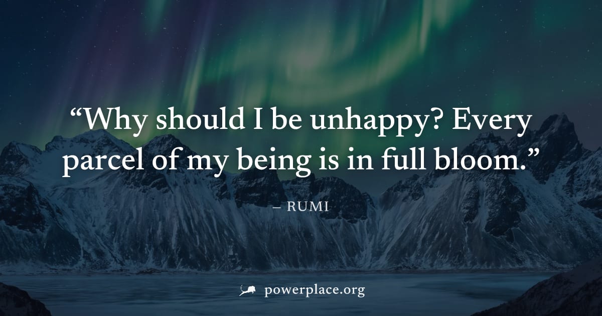 "Why should I be unhappy? Every parcel of my being is in full bloom." — Rumi